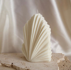 palm leaf, candle, eco-friendly, sustainable, natural, decor, tropical, handmade, organic, green, relaxation, ambiance, home decor, vegan, renewable, biodegradable, earthy, soothing, environment-friendly, aromatic, wedding, candle, ceremony, gift,unity, love, romance, decoration, centerpiece, marriage, celebration, vow, ritual, symbol, flame, bride, groom, decor, ambient, light, special day